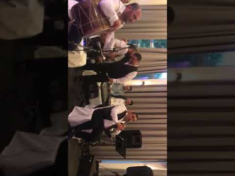 Kolo & Friends 2018 & Holland