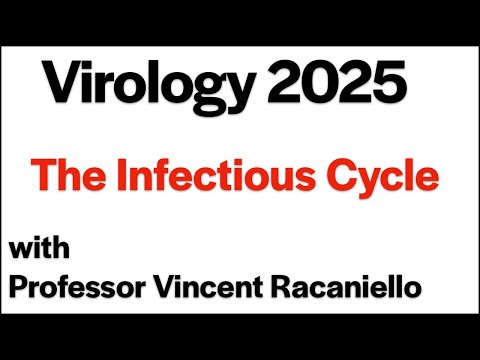 Virology Lectures 2025 #2: The Infectious Cycle