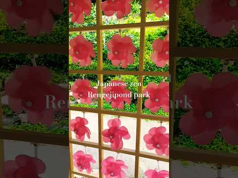 池の周りの花 池のアイデア 多年草 湿った土壌 多年生ゼラニウム