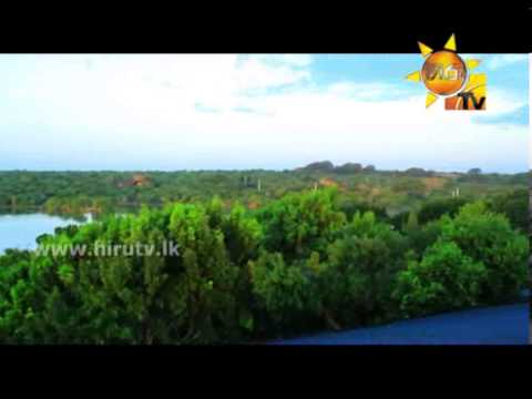 Hiru TV