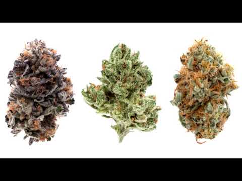 Pszona Mob - Fristajl Na Zwale (Tłusty Gram)