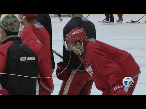 Red Wings forward Pavel Datsyuk to make season debut Friday night