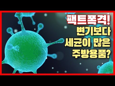 �ѻ� ����Ʈ ��ǳ �ı��ձ�