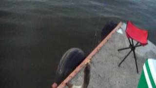preview picture of video 'Turko pesca Carpa en Rapel'