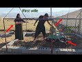 Conflicting Emotions Love Hate And Jealousy In Polygamous Relationships