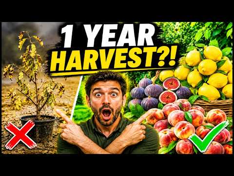 Fast-Growing Fruit Trees: Stop Waiting Years! Harvest Faster Instead
