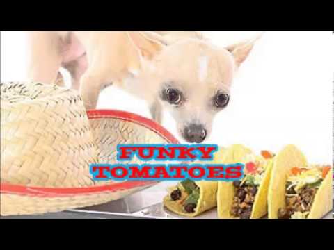 FUNKY TOMATOES
