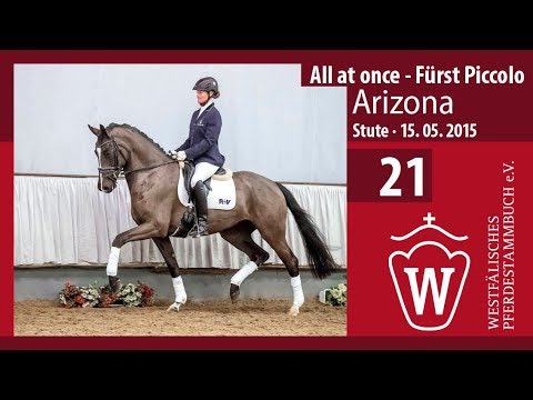 21 Arizona Stute v. All at Once - Fürst Piccolo