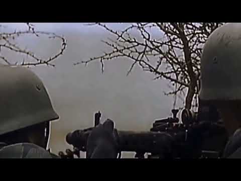 DOWNFALL(MUSIC VIDEO)