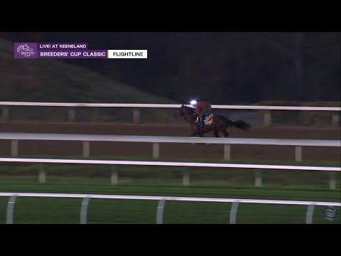 Flightline's Final #BC22 Work