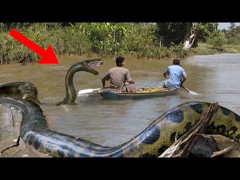 Sizeable Sightings