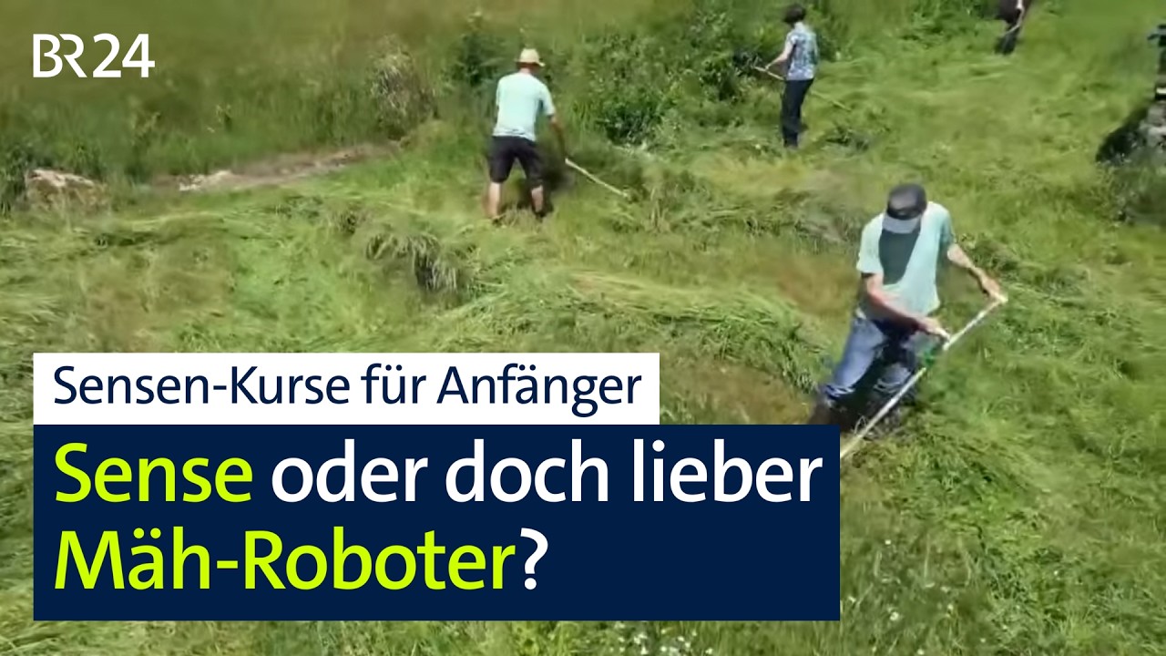 Lieber Sensen, statt Mähen? Hier gibt es sogar Sensen-Kurse! | BR24