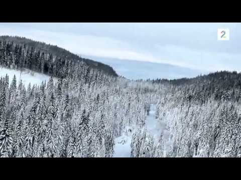 Torsdag kveld fra Nydalen- Grenseløst Del 1