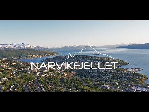 Narvikfjellet - A summer paradise