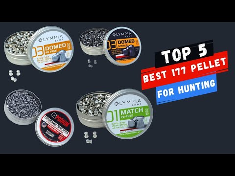 Best 177 Pellet for Hunting of 2023 (Top 5 Expert Picks & Buying Guide)