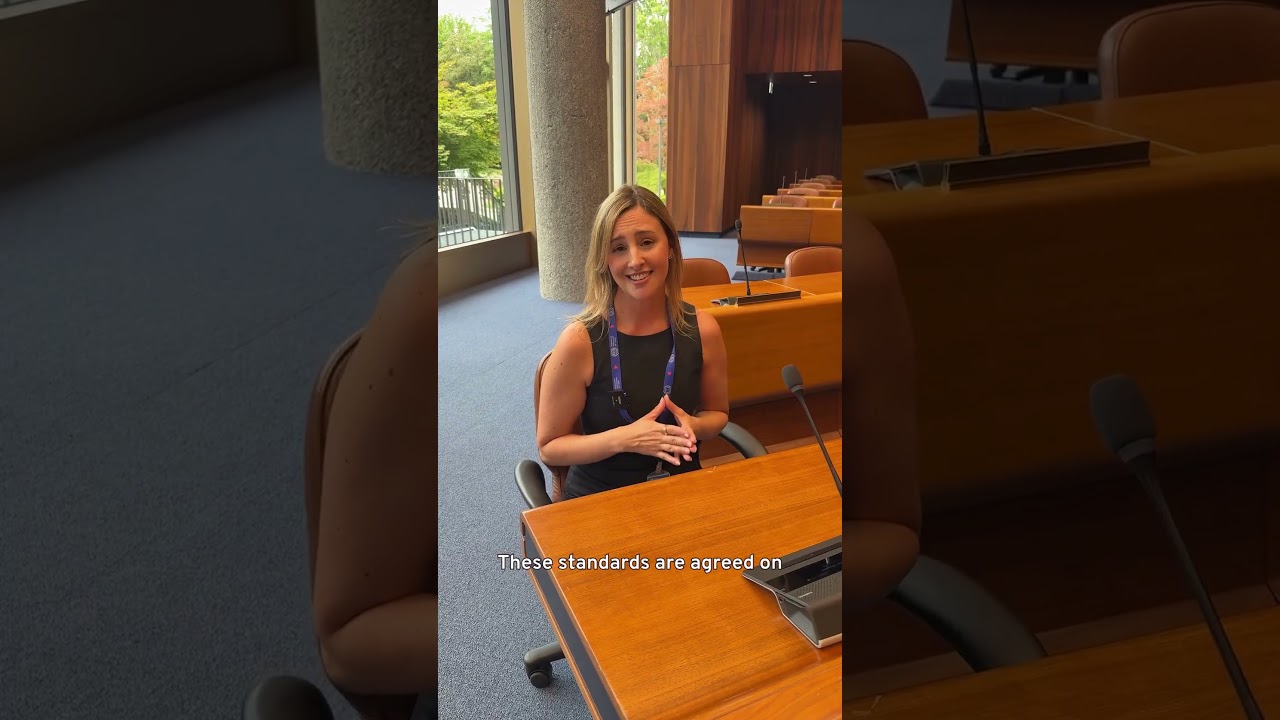 International Labour Standards - What are they?