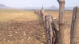 Download lagu Souf - Una Noche ayun ha mp3