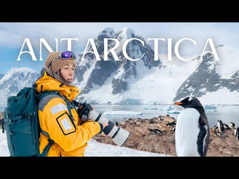 Filming Wildlife in Antarctica: My Voyage to the 7th Continent with Quark Expeditions 🇦🇶