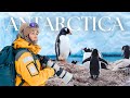 Filming Wildlife In Antarctica My Voyage To The 7th Continent With Quark Expeditions