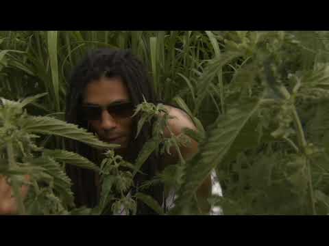 Polarise x Robin Rozay x Simba48 - Moonrocks (prod. by Robin Rozay & Polarise)