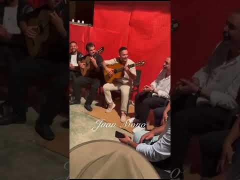 Potito por bulerías 2025 (Mallorca)