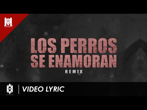 Los Perros Se Enamoran (Remix) - Andy Rivera Ft Nicky Jam, Jowell y Randy, Kevin Roldan y Varios