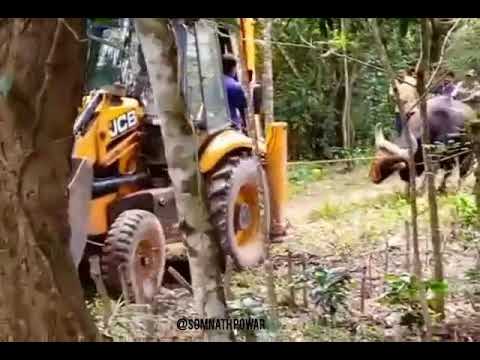 King of Radhanagri (Gava)