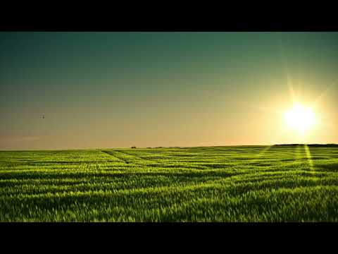 Martin Carlberg - Keeping Love Alive (Paeta Remix) (Extended)