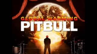 Pitbull  Everybody Fucks feat Akon &amp; David Rush)