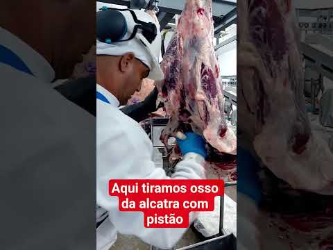 desossa de traseiro Maringá Paraná