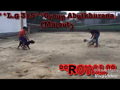 Ramandeep Abulkhurana