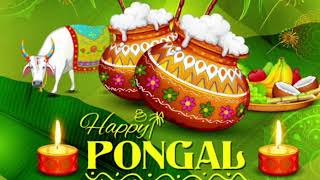 Happy Pongal Status 2022  Pongal WhatsApp Status  