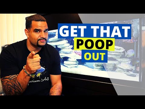 Aquarium Vacuum - Cleaning Aquarium Substrate - (Sand and Gravel)