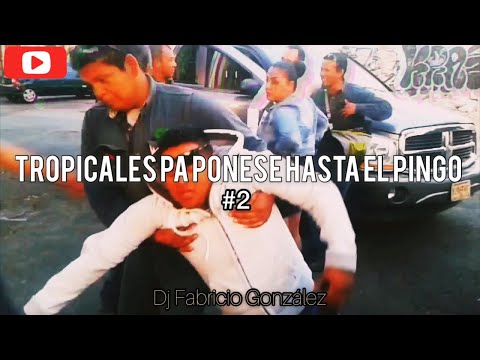 TROPICALES MOLESTOS #2 - dj fabri