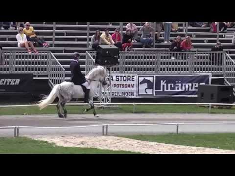 Ísbjörn vom Vindstaðir, WC13T1