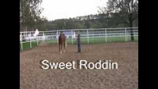 preview picture of video 'Sweet Roddin, Sold'
