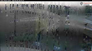 Oregon State University - Newport - Blue Whale Camera 1 live webcam