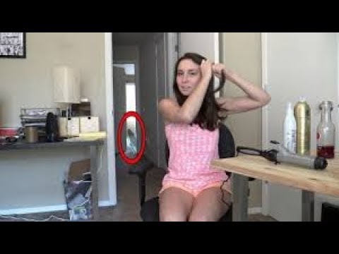 Os sustos mais engraçados de maio - 2018