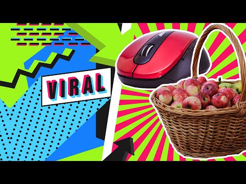 ZDRAVA HRANA DIREKTNO IZ VRTA: Kako da jedete zdravo i pomognete srpskom seljaku! S01E13