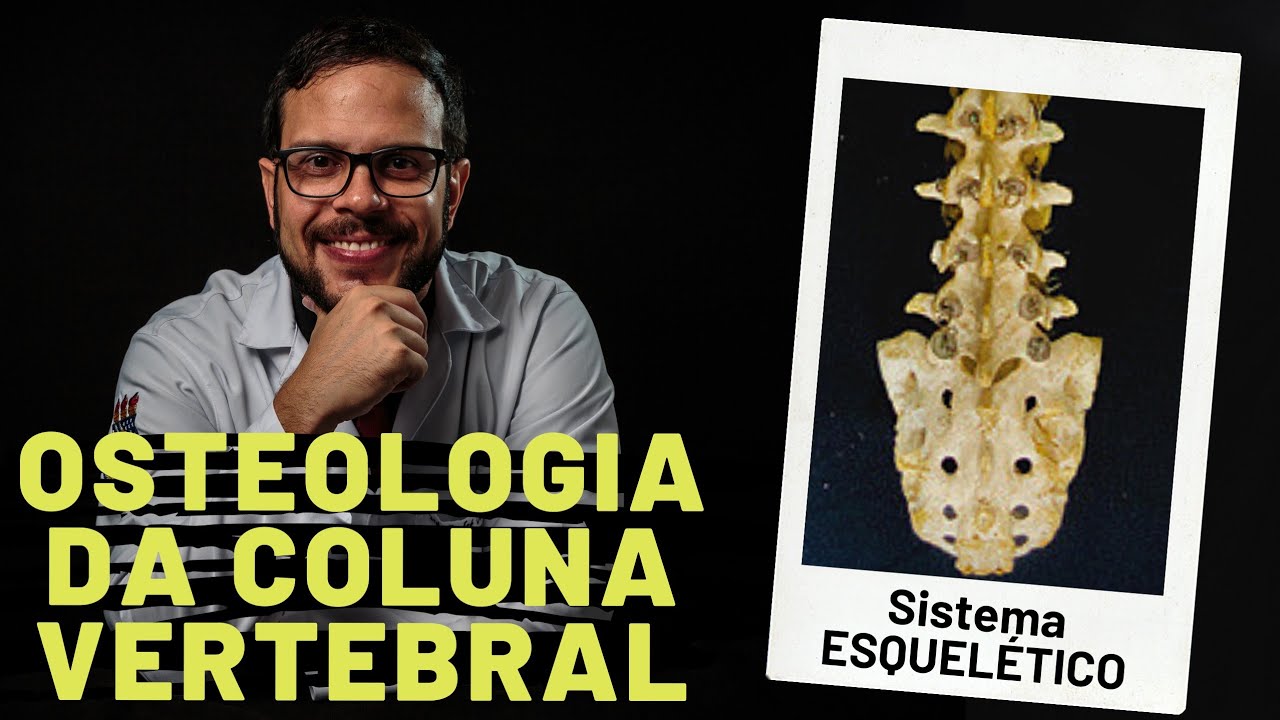 SISTEMA ESQUELÉTICO: OSTEOLOGIA DA COLUNA VERTEBRAL - AULA PRÁTICA COM PROF. ANDRÉ OLIVEIRA