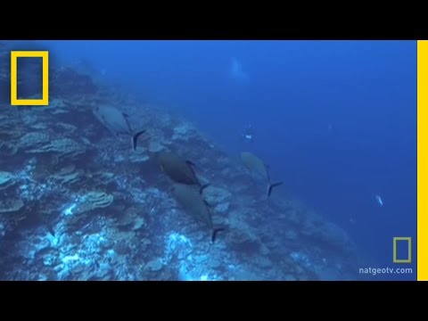 Vostok: "The Most Amazing Place I've Ever Seen" | National Geographic