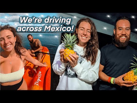 i have a new mexican boyfriend + we're driving halfway across Mexico