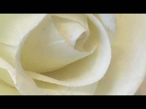 Flasstradamus - 2 Much (Dj KrazzeeKris Remix)