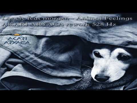 Akari Aryaca rework 528 Hz - Lonely feat morgxn - Animal Feelings