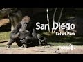 San Diego Zoo Safari Park