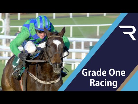 PURE CLASS! Appreciate It wins the 2020 Paddy Power Future Champions Novice Hurdle at Leopardstown.