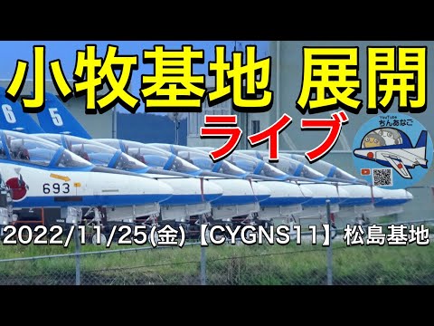 2022年 愛知県政150周年記念行事 ブルーインパルス YouTubeライブ配信アーカイブのサムネイル 9