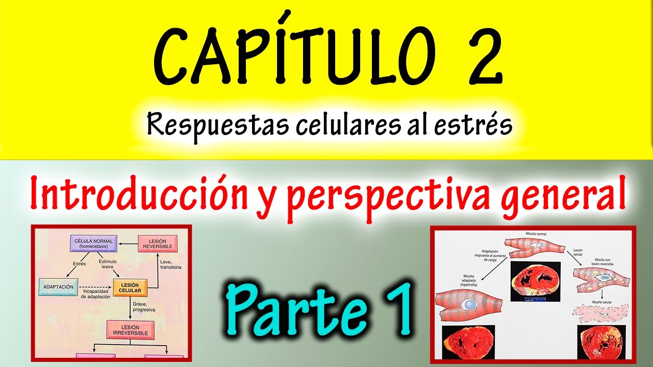 CHAPTER 2 Robbins Pathology (PART 1 - Introduction to Pathology and General Overview)