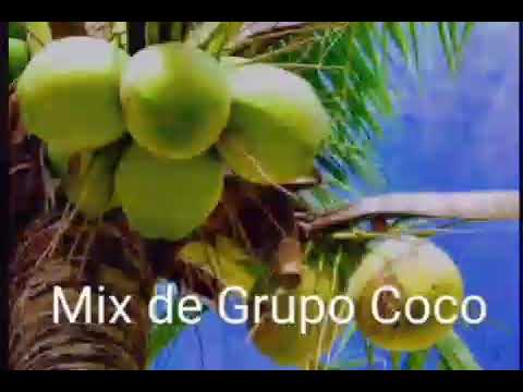 Mix de grupo Coco 🥥
