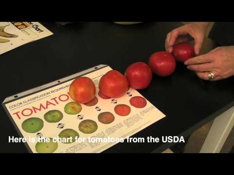 Fotograma del vídeo: How to use a color chart to increase market value